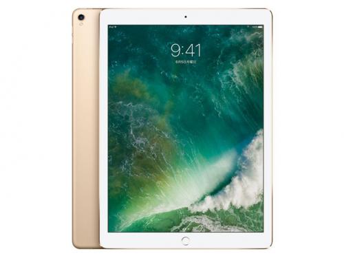 新品 iPad Pro 12.9インチ Wi-Fi 512GB MPL12J/A [ゴールド]